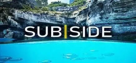 《Subside》存档位置详解-存档喵